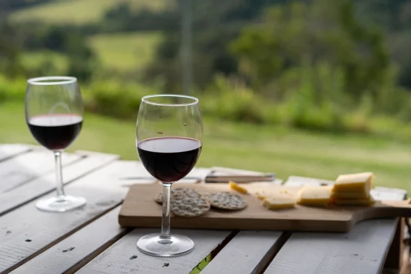 Winelands Pairing
